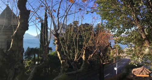 Hotel Firenze Lugano - image 8
