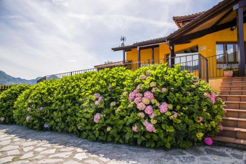 El Canton – Pancar, FL