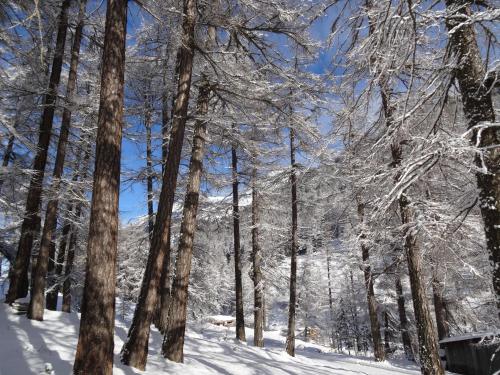 Apartments Carmena - image 6