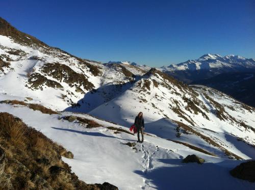 Alpenparadies - image 13