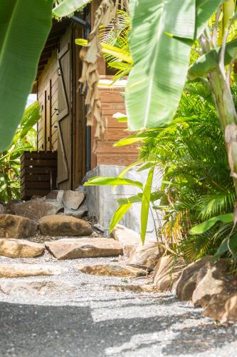 Iguana Ecolodge - Chambre d'hôtes - Saint-François