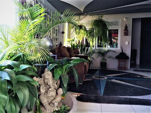 Shared lounge/TV area, Hostel Lobo Inn - Buzios in Maghuinhos Beach