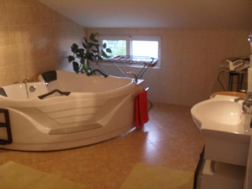 Bathroom, Apartments Sandra in Radovici