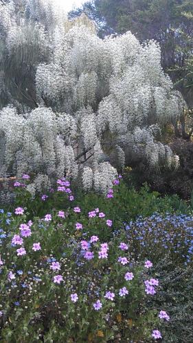 Beezneez B&B in Orford