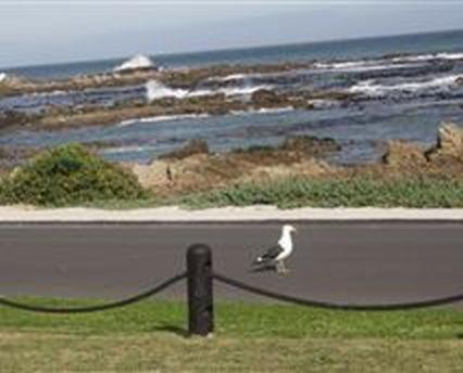 B&B Gansbaai - Kormorant - Bed and Breakfast Gansbaai