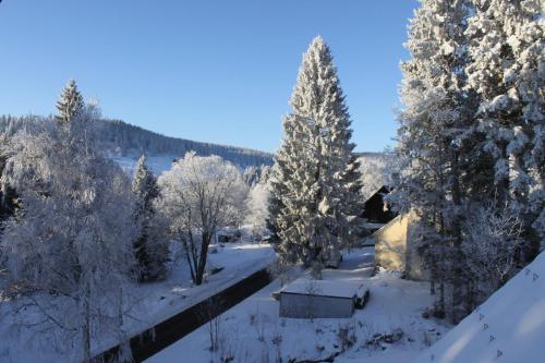 Haus Sonneck - Hotel - Schluchsee