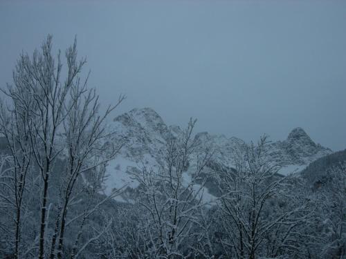B&B Airone – Valle di Cadore, FL