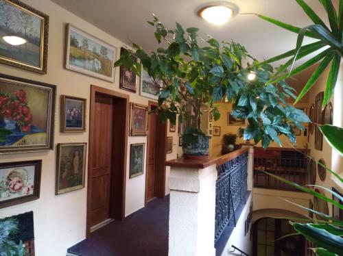 Guest House U Zámku obrázok