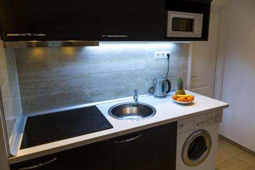 Balaton Delux Apartment, Budapešť (fotografie 7)