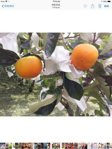 La La Shan 5.5KNong Zhuang La La Shan 5.5KNong Zhuang