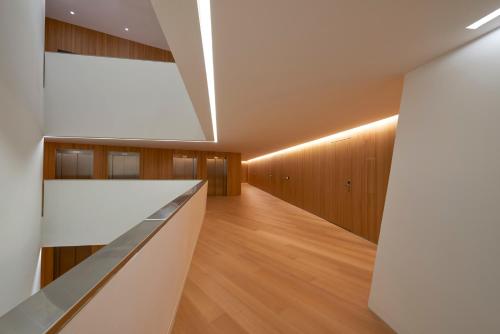 Melia Palma Bay - image 6