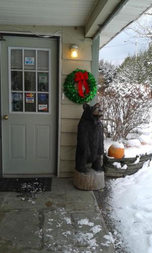 Black Bear Lodge - image 9