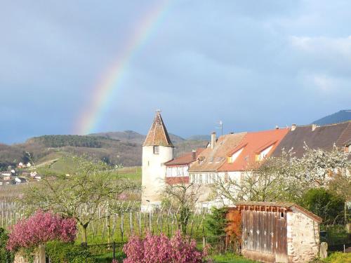 Hotel Munsch Restaurant & Wellness, Colmar Nord - Haut-Koenigsbourg