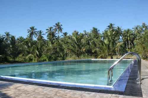 Thambili Adventure Resort Negombo