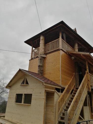 Tree House, Sofia