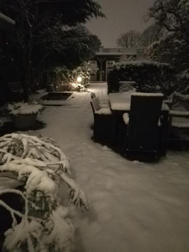 B&B Hoofddorp - main image