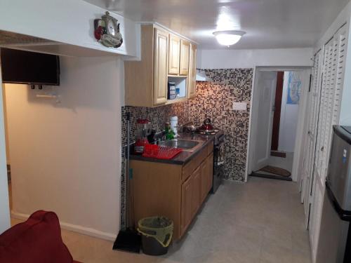 Food and beverages, Studio, One and Two Bedroom Apartments - Bronx in New York (NY)