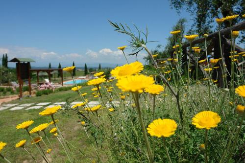 Piè di Costa in Montaione