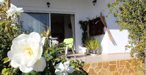  Apartment BLUE HORIZON with courtyard and BBQ. in Artemida