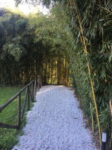 Villa La Bianca - image 5