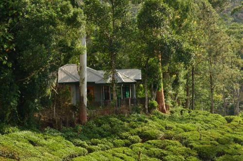 Sunnyside Lodge In Sri Lanka