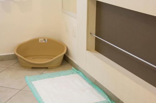 2 twin beds