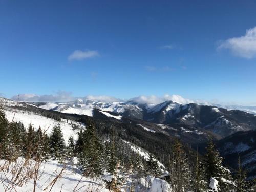 กีฬาและกิจกรรมสันทนาการ, Dom na Bravacove in สตารีสโมโคแวค