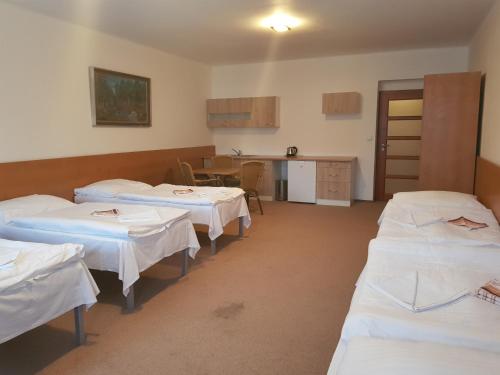 Městský Hotel Dorinka - image 12