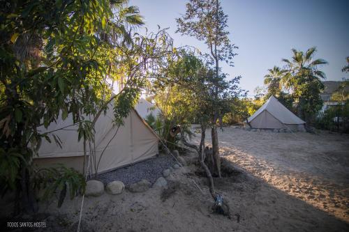 Todos Santos Hostel super fast and stable satellite wifi