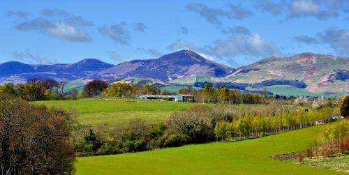 Вид, Peggyslea Farm B&B in Penicuik