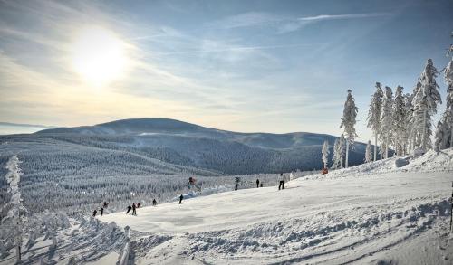 Indywidualne Gospodarstwo Rolne Agroturystyka Gosciniec Pod Czeremcha Malgorzata Szczepanek - Stronie Slaskie