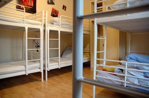 Ruta 80 Hostel - image 10