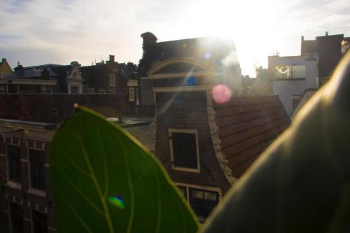 Attic Monkeys Lodge - image 4