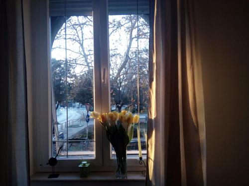 Apartment Optimist/City Break - image 5