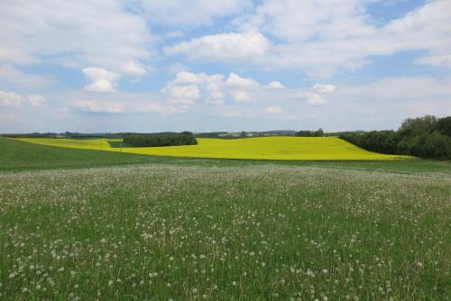 Nussbaumhof mit Koppel