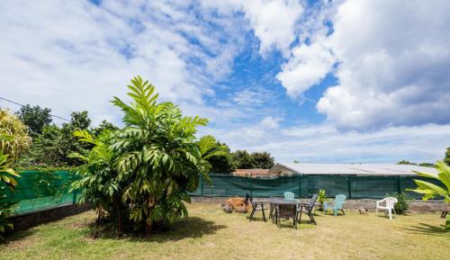 Pension TE MITI - PLAGE-BEACH 200m - Mahana Parc & Vaiava Beach pk18 - B&B CHAMBRES ou DORTOIR