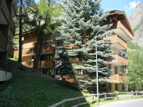 Apartment Balma 3 rooms near Gondelbahn, Zermatt (photo 4)