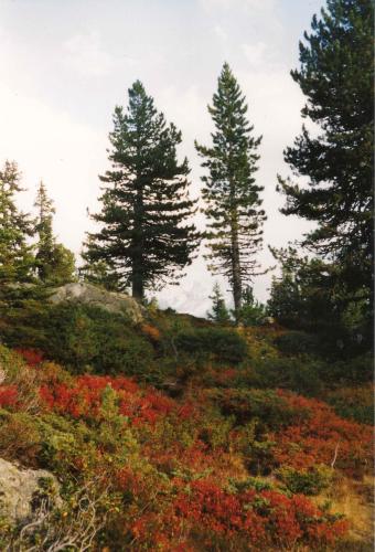 Apart Panoramablick - image 12