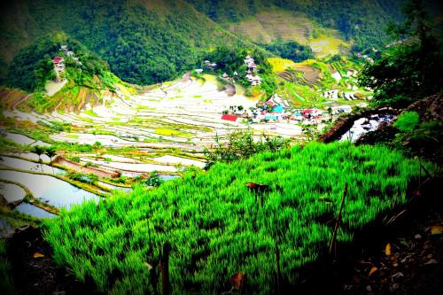 B&B Banaue - Highland Inn and Restaurant - Bed and Breakfast Banaue