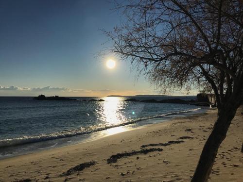 Hotel L'Orangeraie - image 13