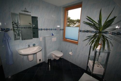Haus in der Duene _ Objekt 25954, Warnemünde (photo 3)