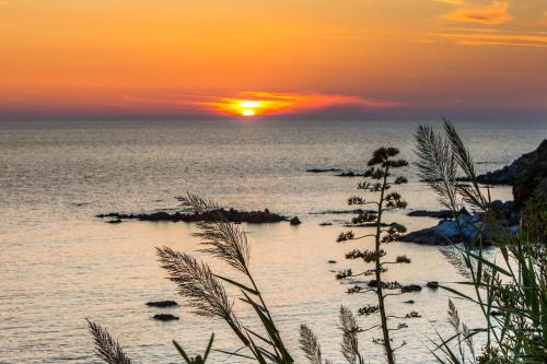 Hotel Ferretti - image 11