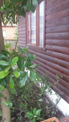 Cabañas Patricia Licanray