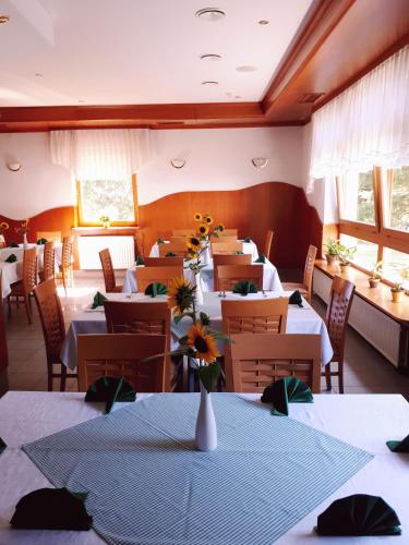 Hotel Rakov Skocjan in Cerknica