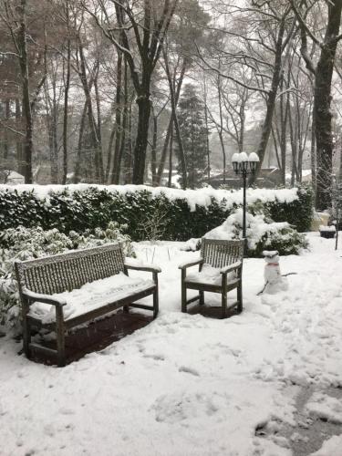Garden, In de aap gelogeerd in Apeldoorn West