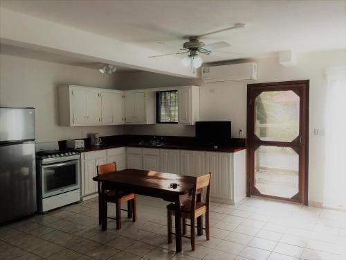 Wild Orchid in พลาเซนเซีย