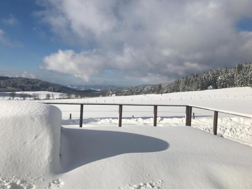 Vila Pasečná - Lipno