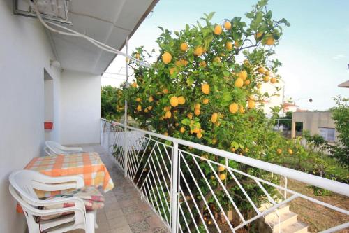 Apartment Orebic 10256b - image 13