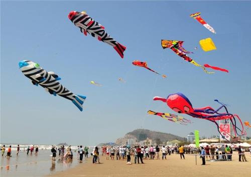 homeinn hotel boutique shanghai pudong airport branch no 1215 chuanfeng highway shanghai china cn