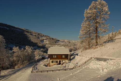 Ferienwohnung, Pension in Klosters Serneus